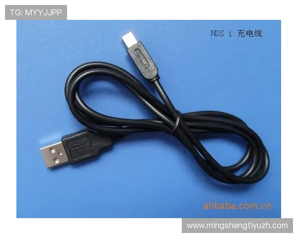 欧博代理登录网址查询常见问题及解决方案全攻略